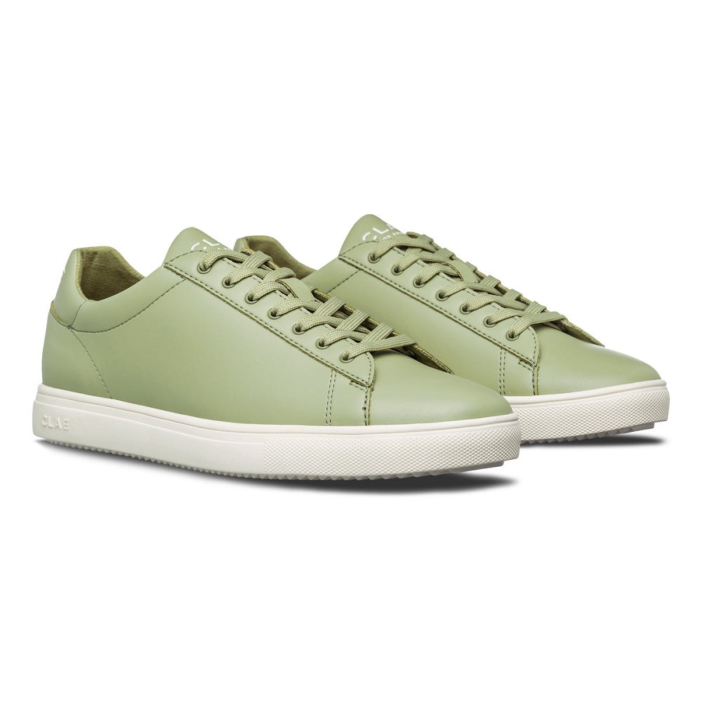 CLAE BRADLEY CACTUS Shoes Mens USA325-B80 In Sage